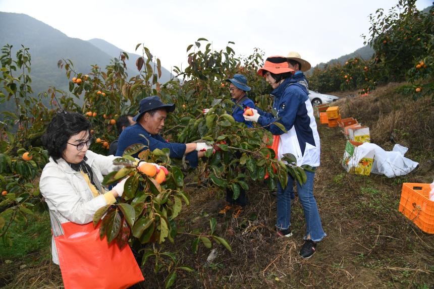 경상남도의회, 수확철 농어촌 일손 돕기 나서