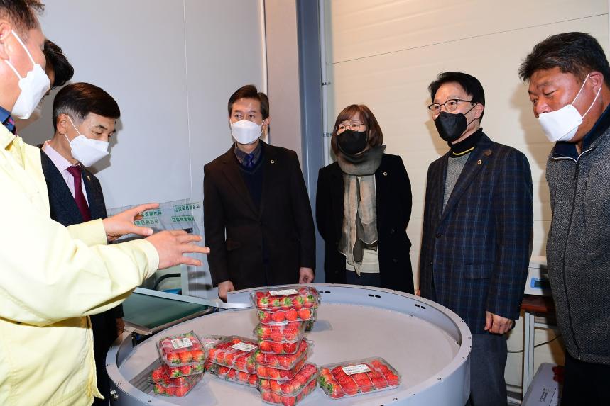김하용 경남도의회 의장, 수출 딸기농가 방문