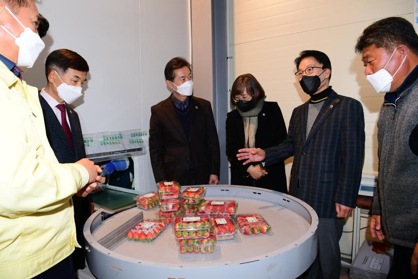 김하용 경남도의회 의장, 수출 딸기농가 민생현장 방문 - 2