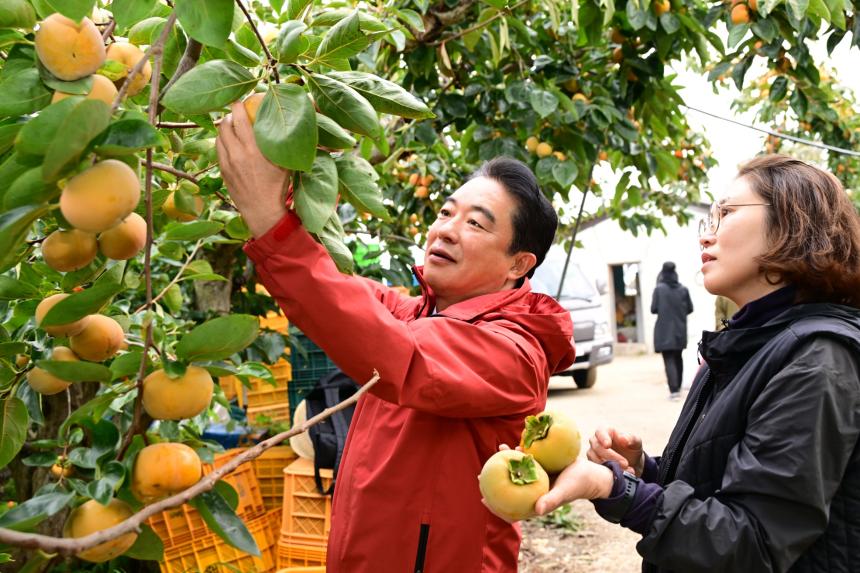 경상남도의회, 2025년 가을철 농촌일손돕기 실시 - 3